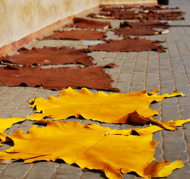 Marrakech Souk Guide - Dyed Leather