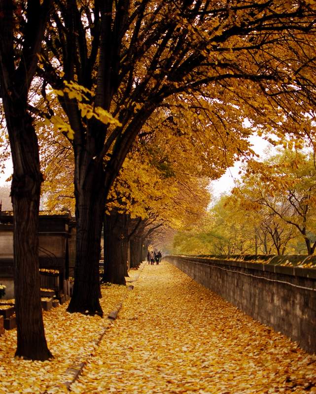 Paris Must Dos Pere Lachaise