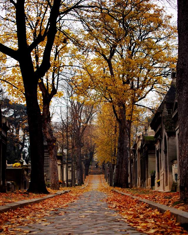 Paris Must Dos Cemetery