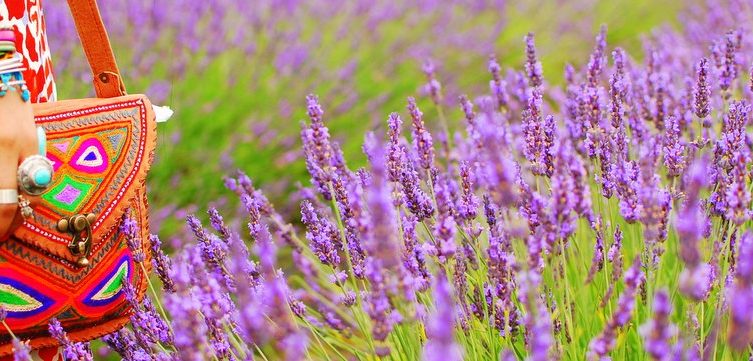 Offbeat London Mayfield Lavender Farm