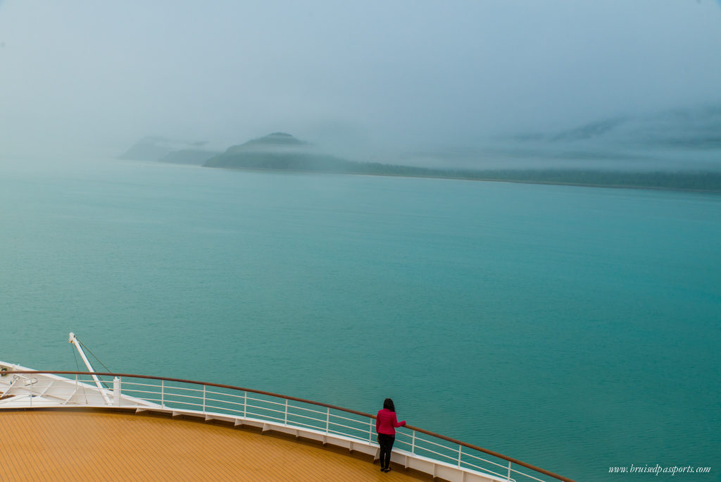 View from Holland America's New Amsterdam