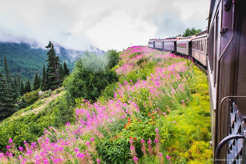  White Pass & Yukon rail