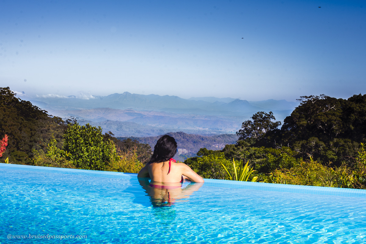 infinity pool at O'reilly's rainforest retreat Australia