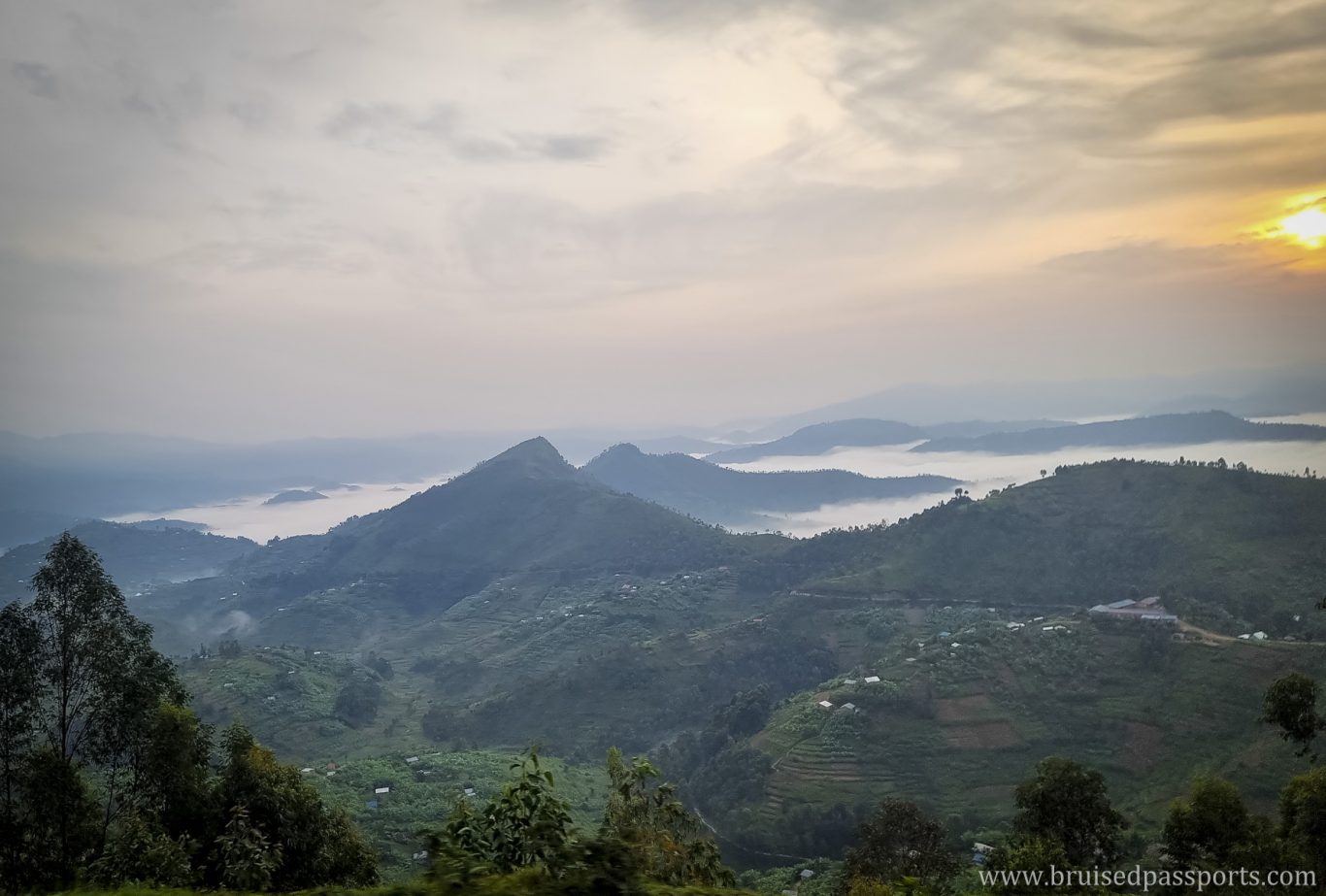 forest view near Volcanoes National Park in Rwanda