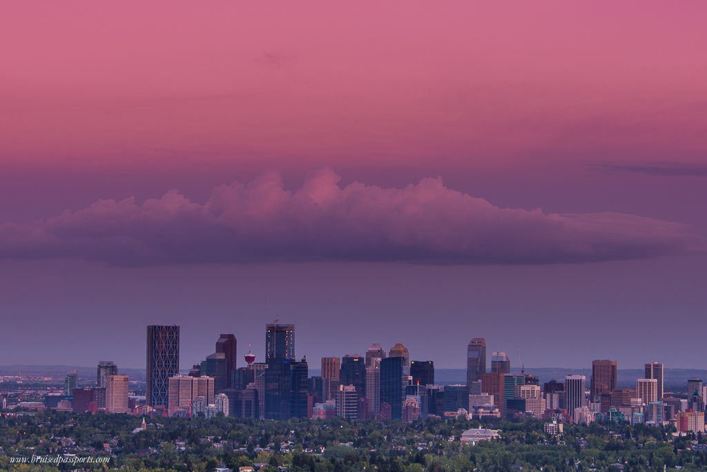 Calgary downtown view from nose hill park vantage