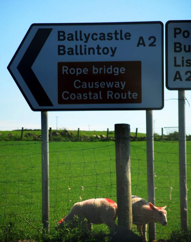 Causeway Coastal Route 3