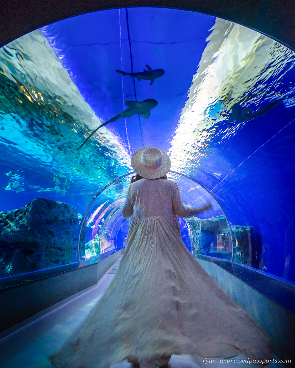 Tunnel at Aquarium in Copenhagen