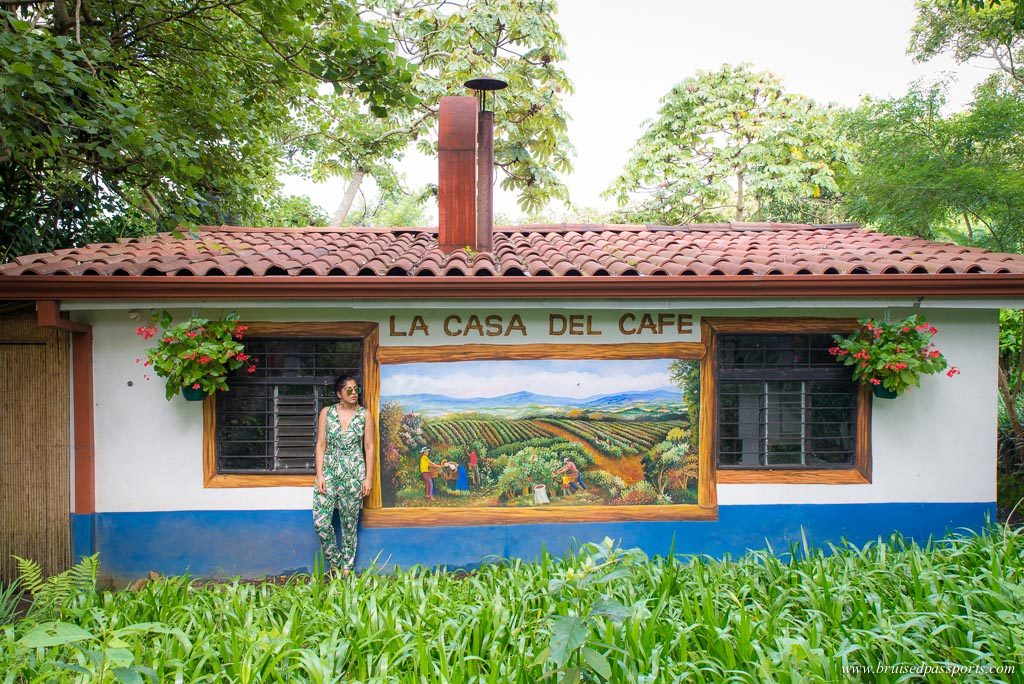 Coffee plantation tour at Finca Rosa Blanca San Jose Costa Rica