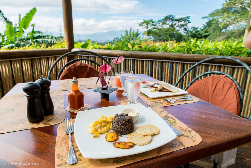 Galle Pinto Costa Rica Local Dish