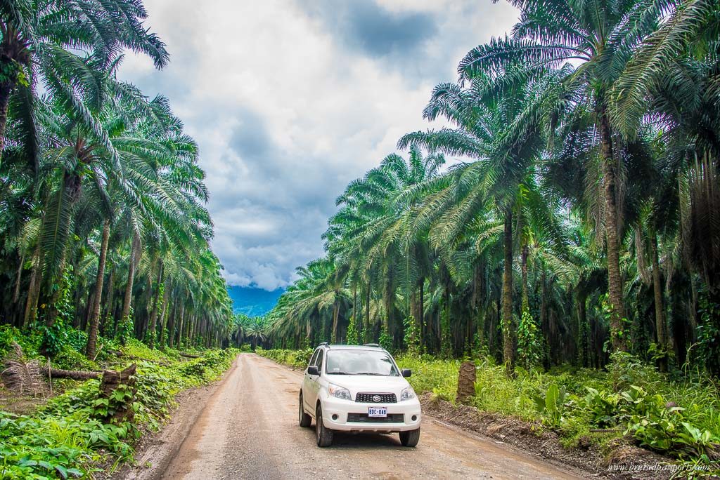 Rental Car Costa Rica 