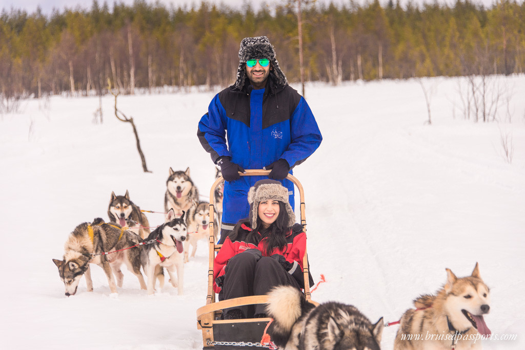  Lapland Itinerary Husky Dog Safari