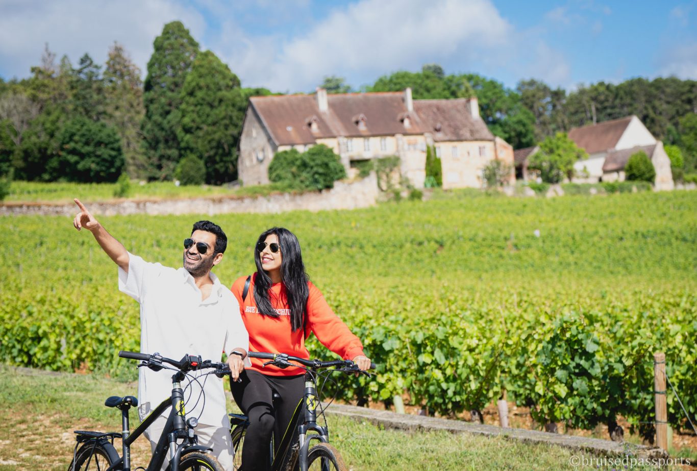 Bicycle tour through vineyards of Burgundy in Dijon and Beaune