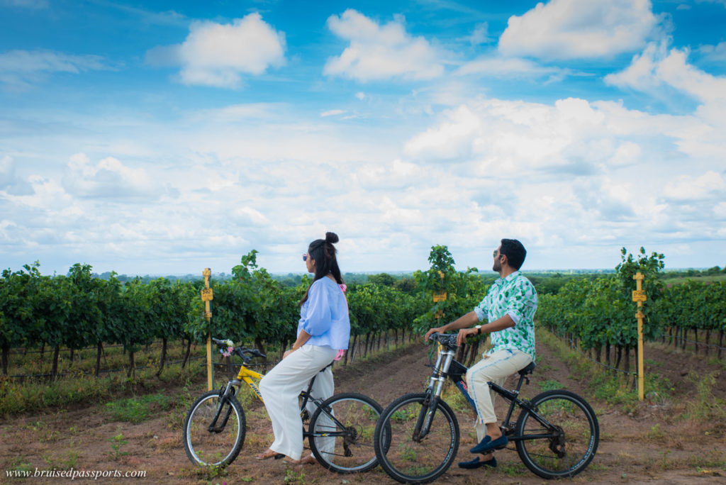 couple biking through a vineyard in India