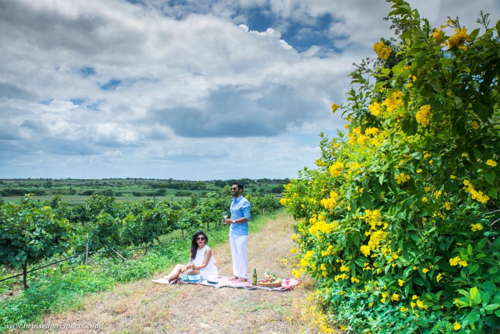 Couple picnicking in a vineyard 