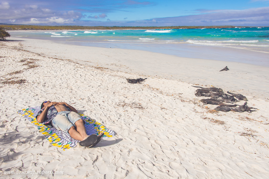 Boy sunbathing on tortuga bay beach with iguanas