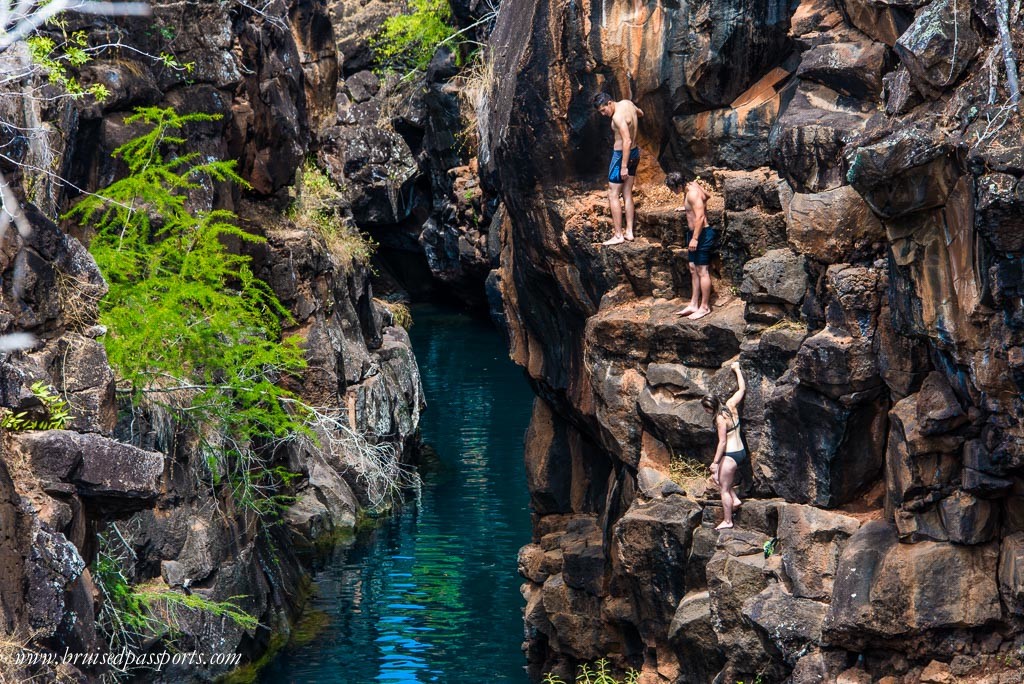 Las grietas galapagos people diving and snorkelling