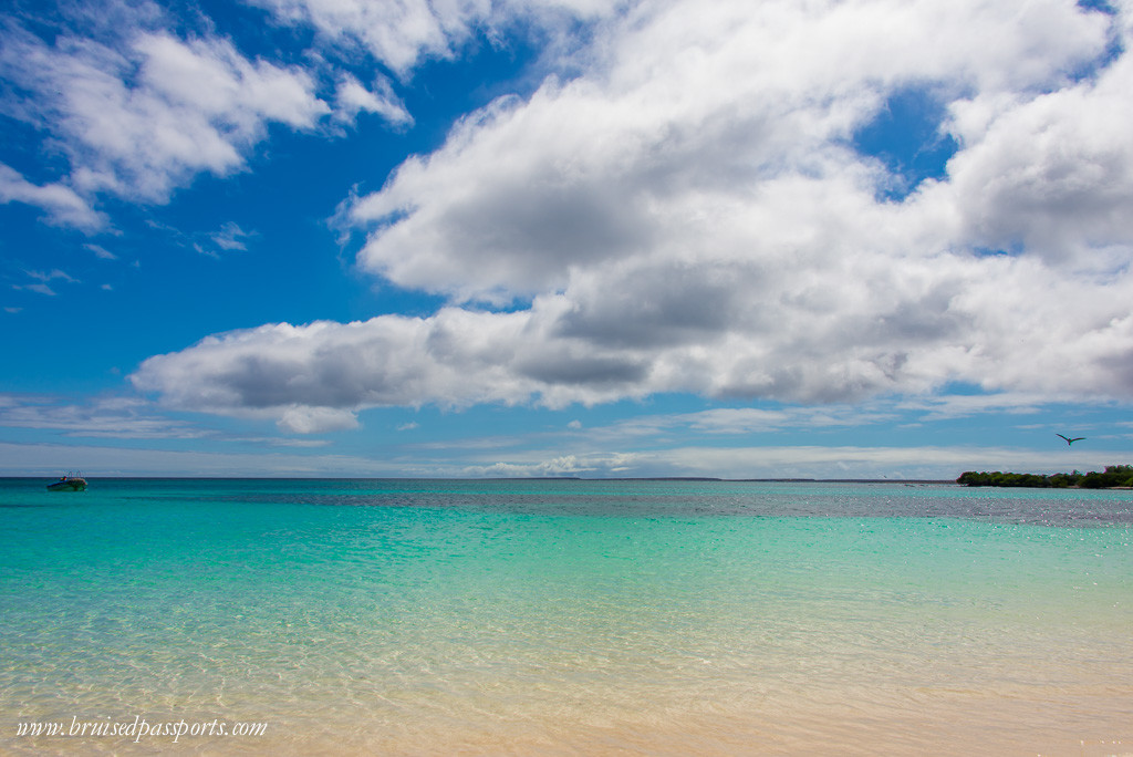 Beach in Santa Cruz island