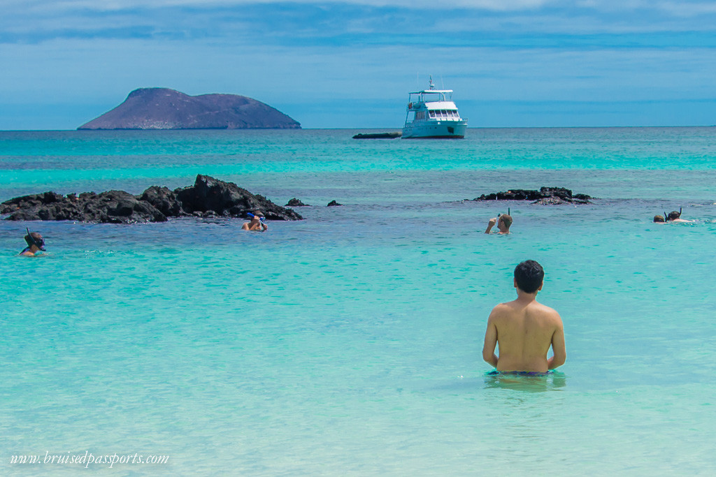 Snorkelling stop enroute North Seymour