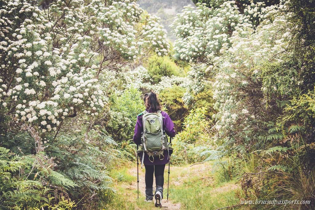 Twelve Apostles Lodge Walk