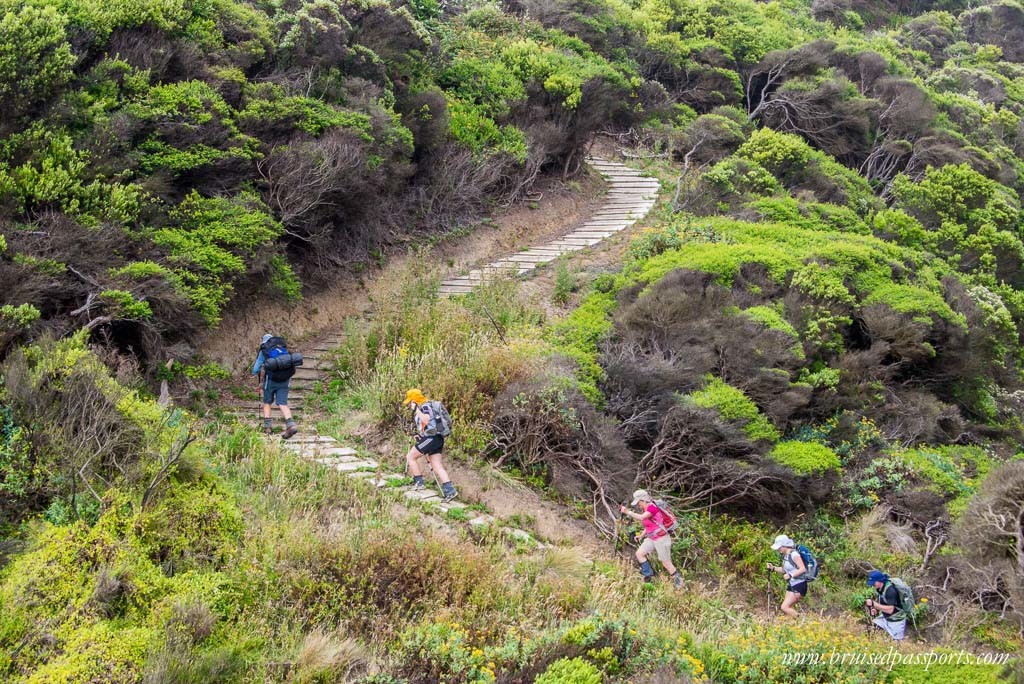 Hiking in Great Ocean Walk 