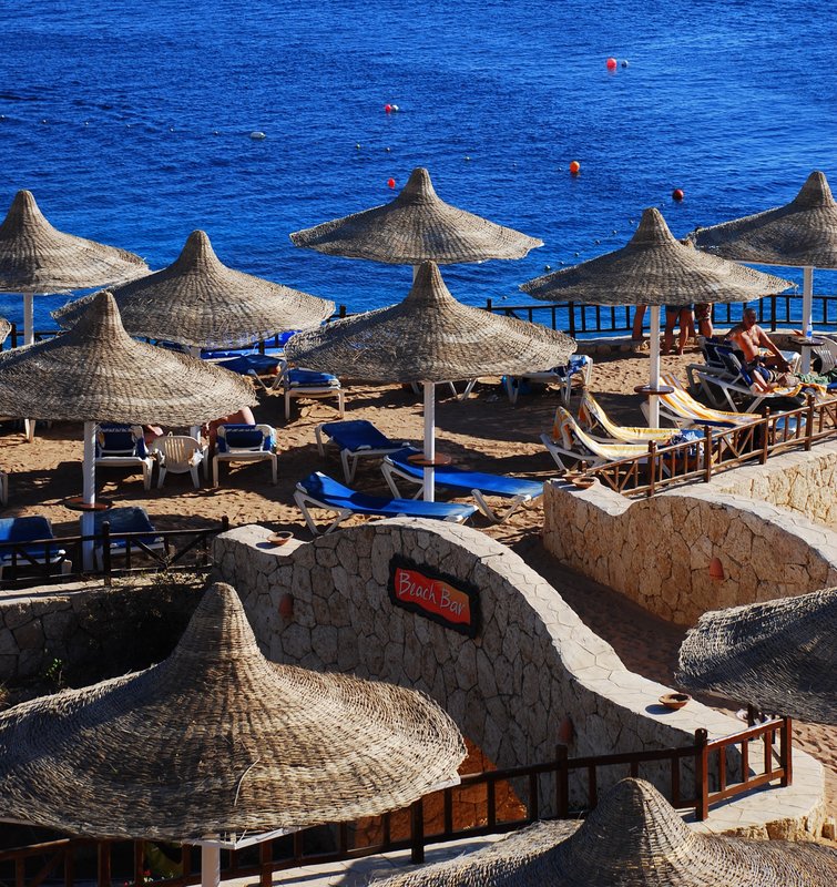 hilton sharm el sheikh sharks bay beach bar