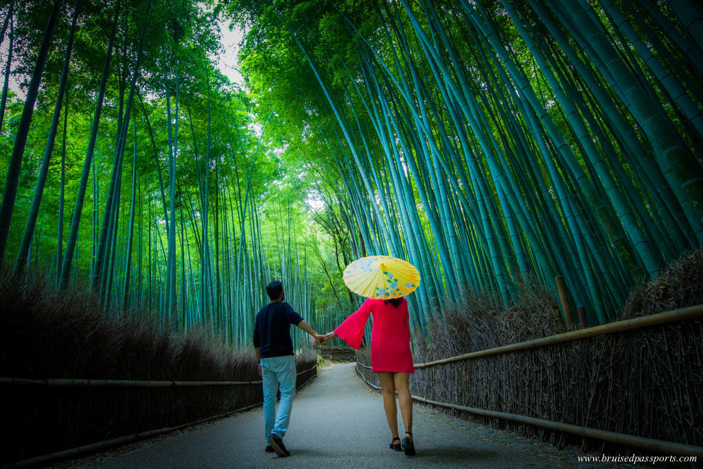 Arashiyama bamboo forest behind Suiran Kyoto