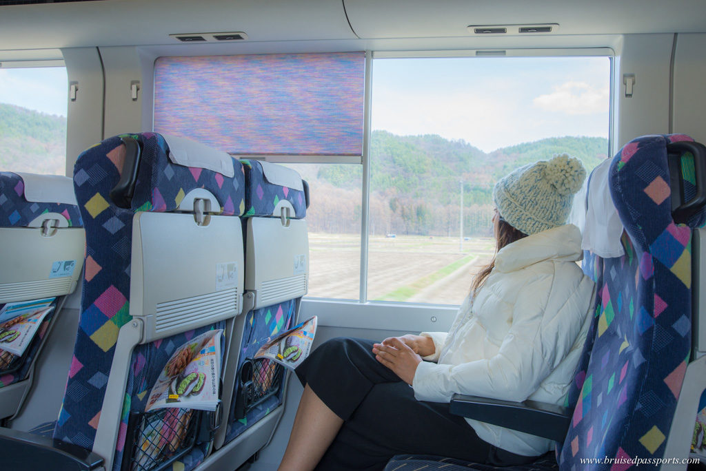 JR train from Tokyo to Hakuba