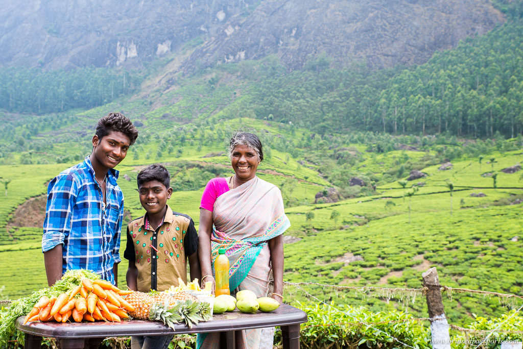 vendor in Munnar on Kerala Road Trip