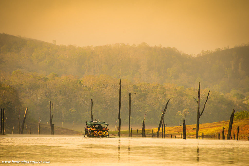 Periyar National Park road trip in Kerala 