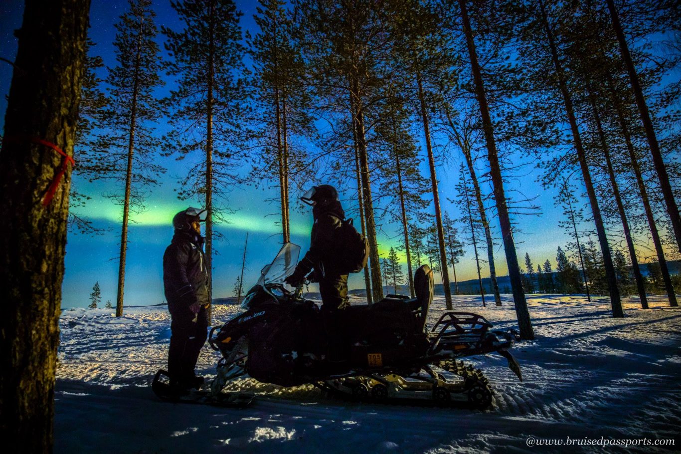 Snowmobile tour for Northern Lights in Rovaniemi