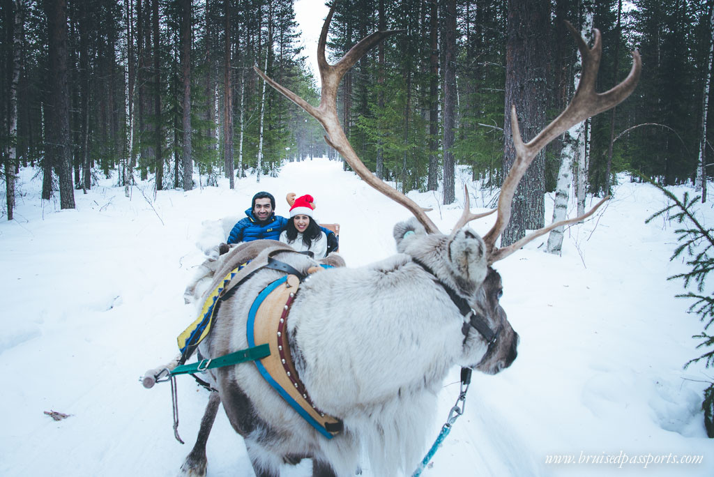 Reindeer sleigh Rovaniemi