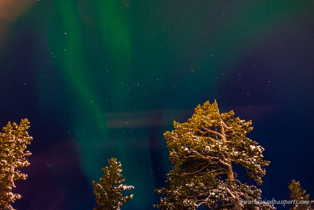 Northern lights safari Rovaniemi