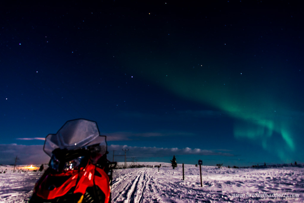 Snowmobile Northern Lights