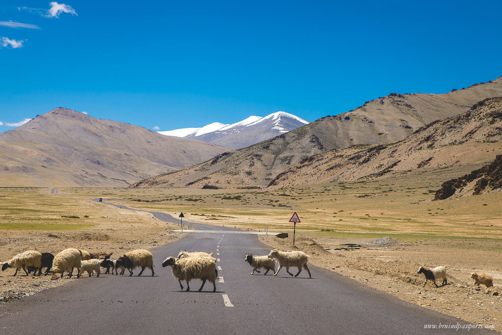 Ladakh road trip drive from Leh to Manali