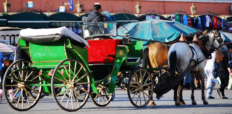 Marrakech things to do Carriage