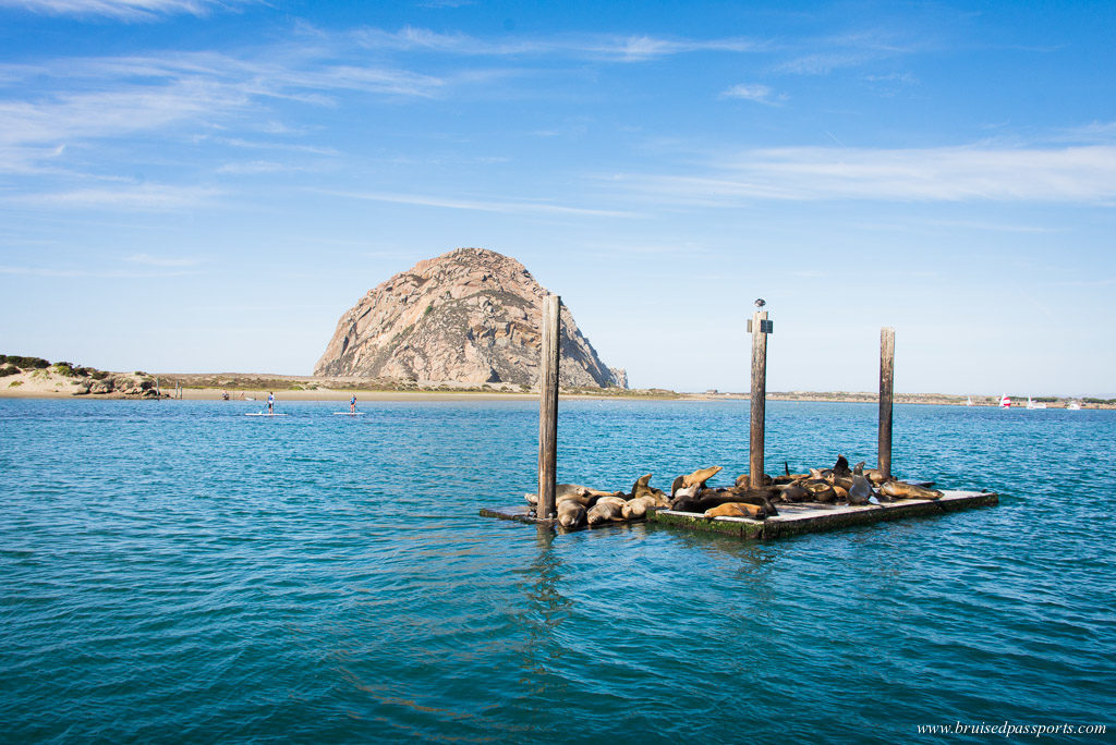 Morro rock at Morro Bay California