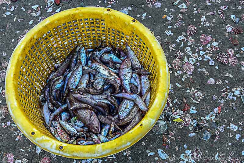 Mui Ne fishing village Vietnam