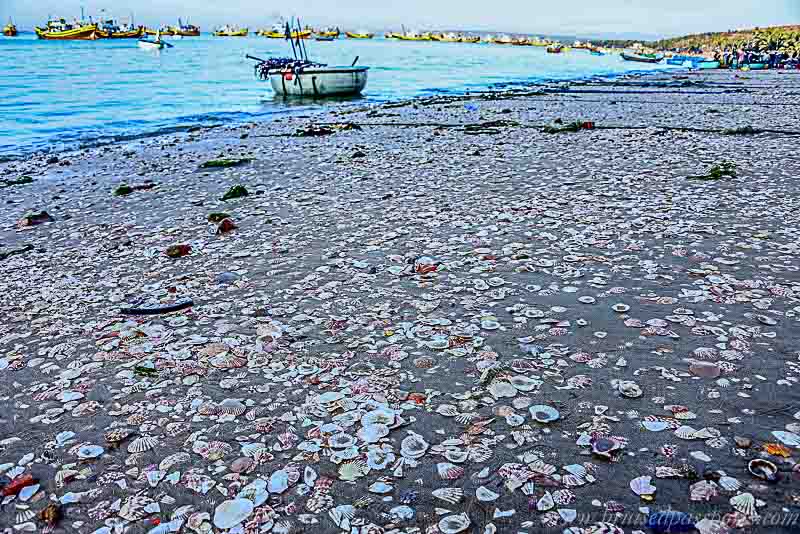 Mui Ne fishing village Vietnam