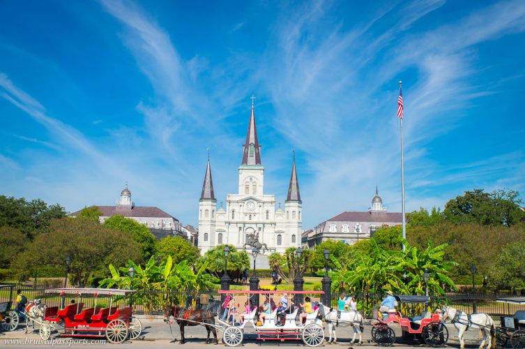 Cathedral and horse carriages in New Orleans