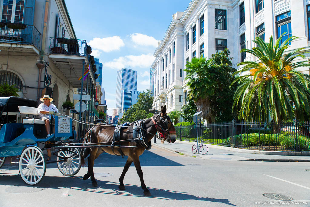 Horse drawn carriage in French Quarter of New Orleans