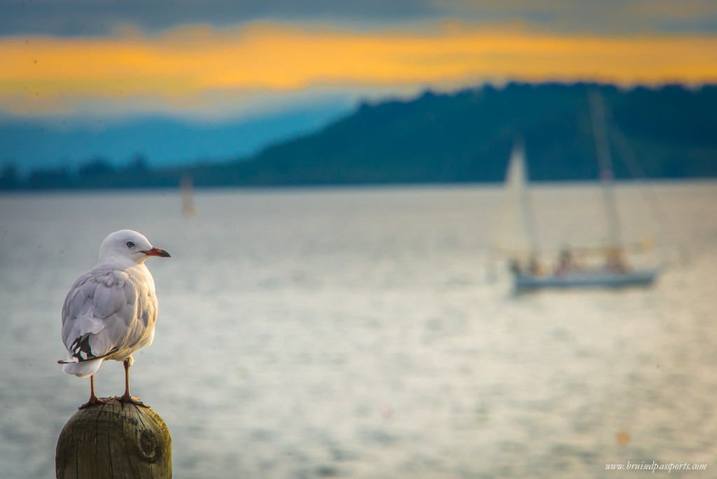 New Zealand Road Trip Itinerary Lake Taupo