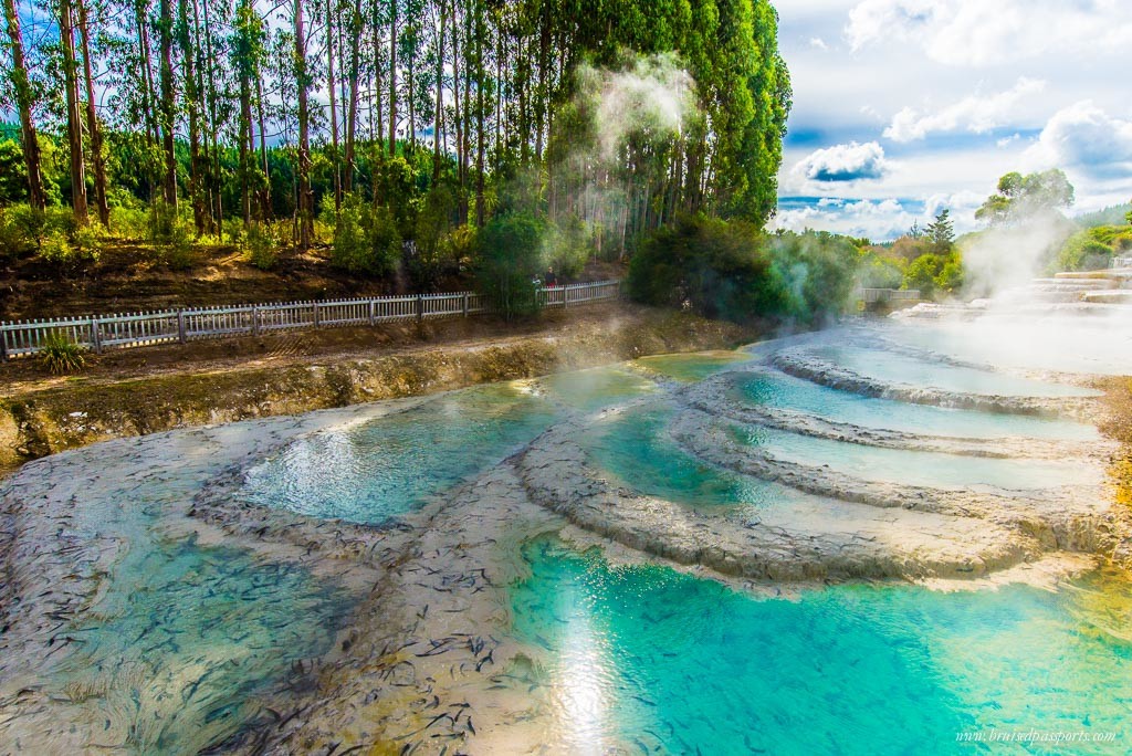 New Zealand road trip itinerary Waireki silica terraces taupo