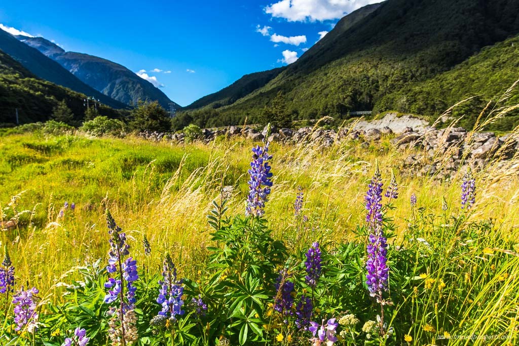 new zealand road trip itinerary arthurs pass national park