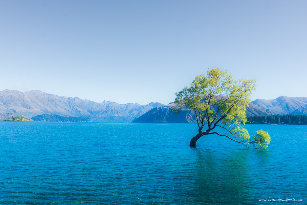 New Zealand road trip itinerary lake wanaka