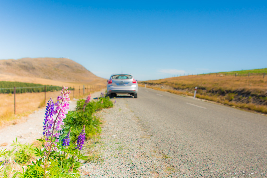 New Zealand Road Trip itinerary Lake Tekapo