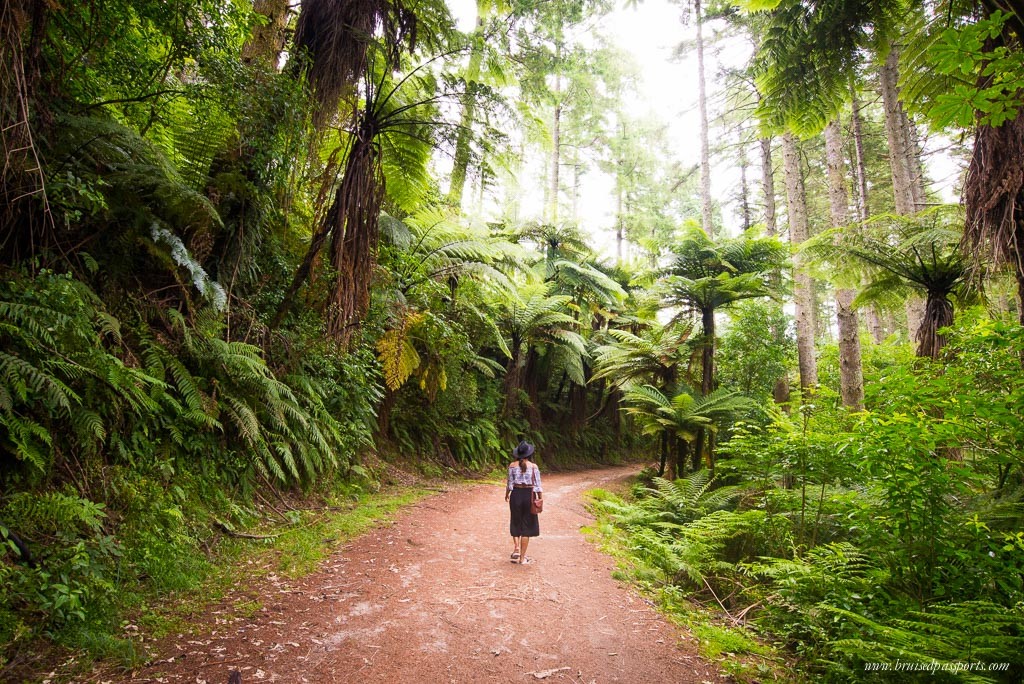 New Zealand road trip packing 