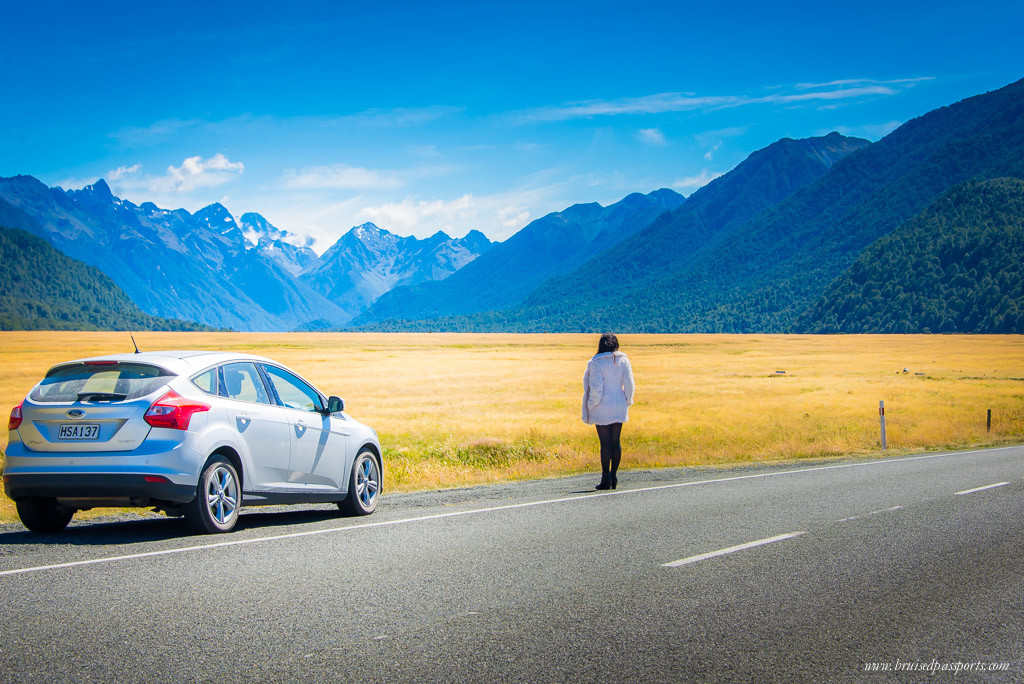 New Zealand road trip summer scenery