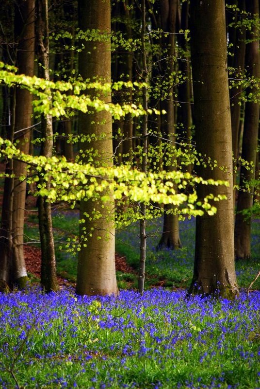 UK has some incredible camping spots