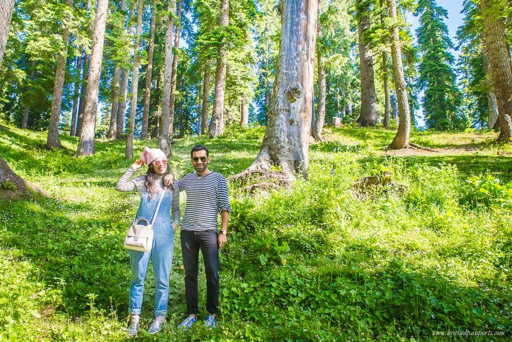 Gulmarg kashmir woodlands on ladakh road trip