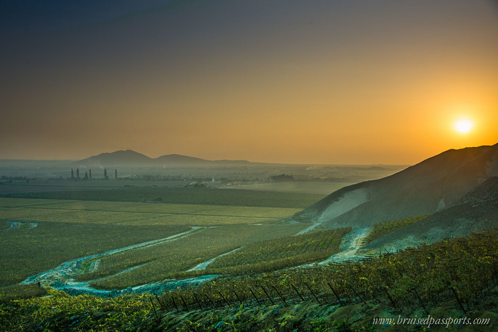 Sunset over 800 acres of vineyard in Ica Peru